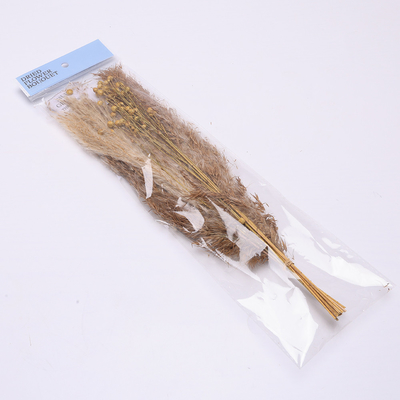 Susunan Rumput Pampas Buatan Panjang 35cm