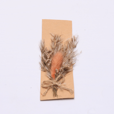 Rumput Kering Alami Pampas Berwarna-warni 43 * 15cm Untuk Set Hadiah