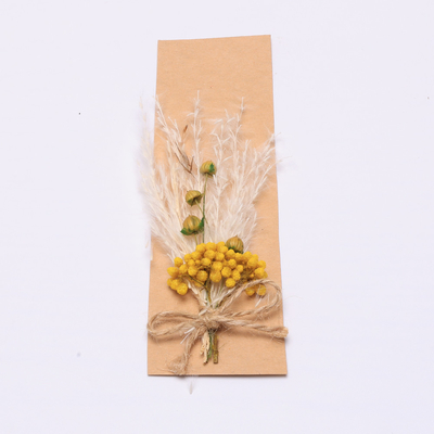 Susunan Rumput Pampas Warna-warni Buatan 43 * 15cm
