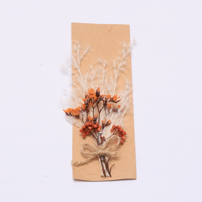 Susunan Rumput Pampas Warna-warni Buatan 43 * 15cm