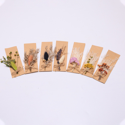 Susunan Rumput Pampas Warna-warni Buatan 43 * 15cm