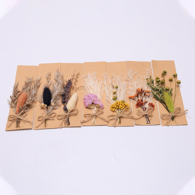 Susunan Rumput Pampas Warna-warni Buatan 43 * 15cm